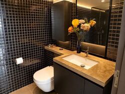 Skysuites@Anson (D2), Apartment #606925961